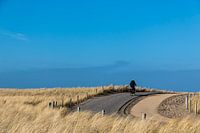 Fietsen in Petten