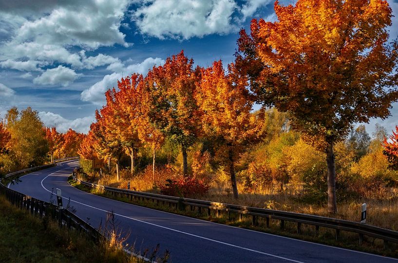 Morgentliche Ausfahrt in die Herbstferien von Holger Felix
