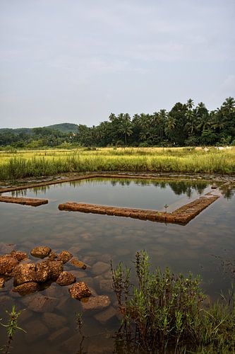 Gokarna rijstvelden en waterspiegel