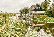 The Sweetwater Collection | Lytse Marren van Lot Wildiers Photography thumbnail