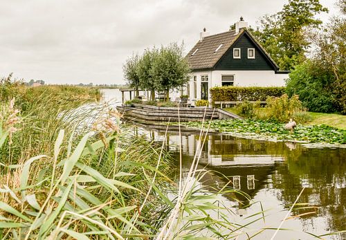 Die Sweetwater-Sammlung | Lytse Marren von Lot Wildiers Photography