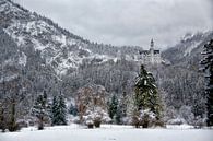 Landschapsfoto van het Slot Neuschwanstein van Bruno Baudry thumbnail