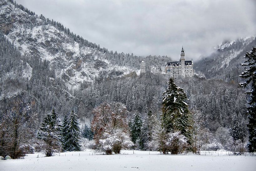 Landschapsfoto van het Slot Neuschwanstein van Bruno Baudry