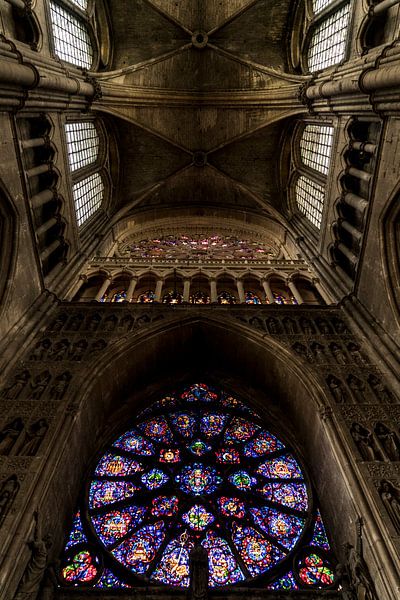 Cathedral of Reims, France by Michael van der Tas