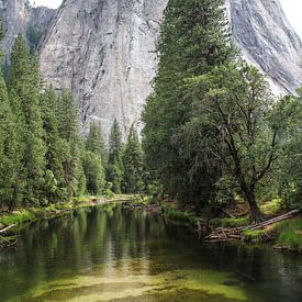 Yosemite National Park by Marinella Geerts