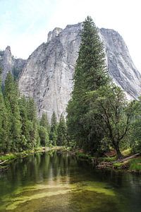 Bergen in Yosemite National Park van Marinella Geerts