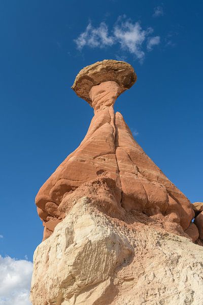 Toadstool Hoodoos: Timeless Sculptures of Nature III by Gerry van Roosmalen