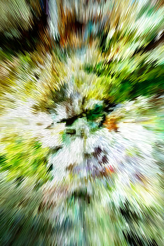 Digitalkunst