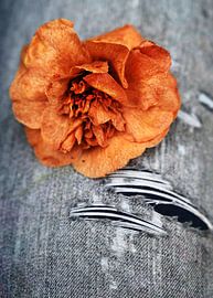 Camelia und ausgefranste Kanten