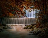 Herfst perfectie van Konstantinos Lagos thumbnail