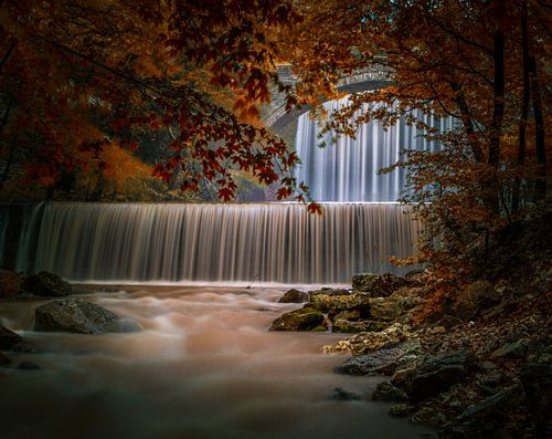 Herbstliche Perfektion