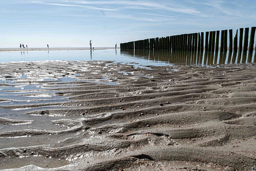 Lijnen in het wad