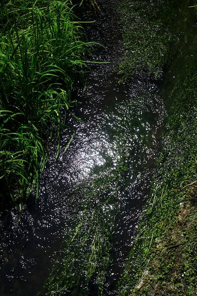 Element Wasser von Thomas Jäger