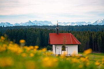 Frühlingshafter Blick auf die Zugspitze & das Ostallgäu mit Löwenzahn von Leo Schindzielorz