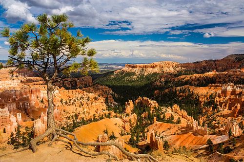 Bryce canyon national park