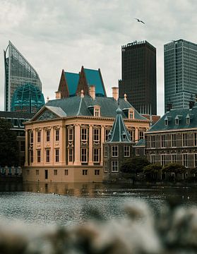 La Haye - Le Mauritshuis sur Sylvana Portier