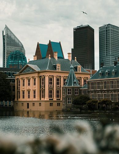 The Hague | The Mauritshuis