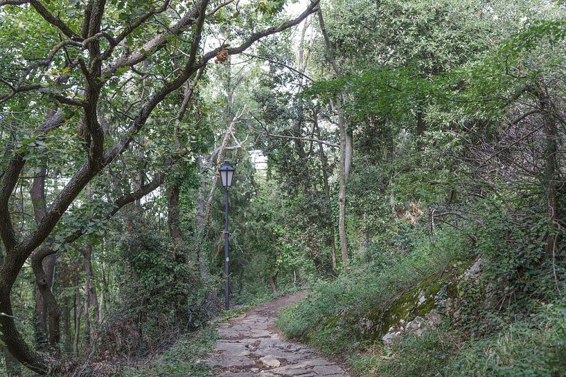 San Marino Forest by de-nue-pic