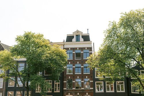 Canal houses in Amsterdam