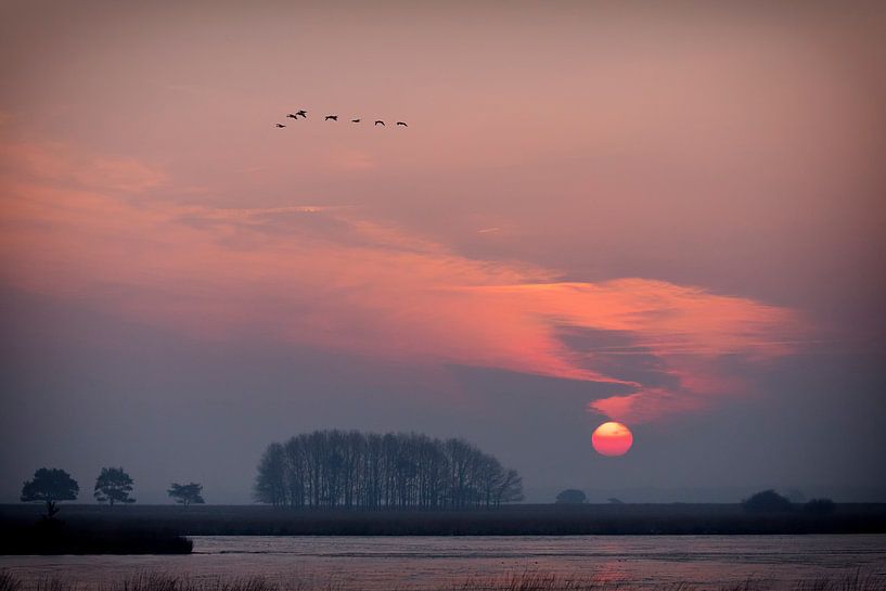 Zonsopkomst bij de Davidsplassen par Anneke Hooijer