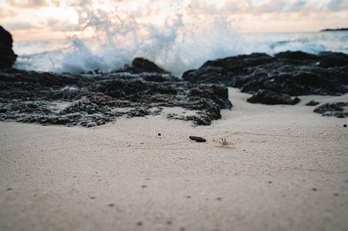 Die Wellen schlagen gegen die Felsen