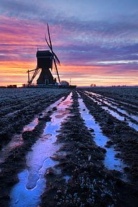 Magnifique lever de soleil au moulin sur Halma Fotografie