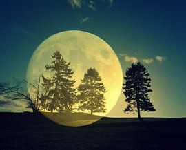 Moon spirit von Vera Laake