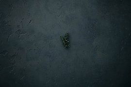 Dunkles minimalistisches Zweigdesign von Imperial Art House