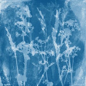 Fleurs bleues. Rêves de prairie. Illustration botanique de style rétro en blanc et bleu. sur Dina Dankers