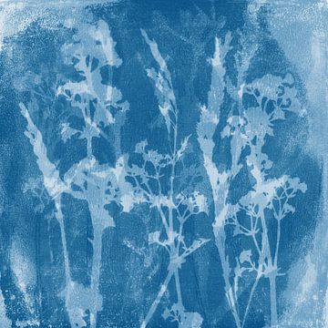Blue flowers. Meadow dreams. Botanical illustration in retro style in white and blue by Dina Dankers