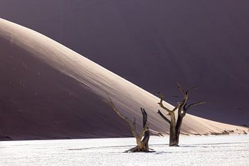 Sossusvlei, Namibië, Namib Desert van Luc Hoogenstein