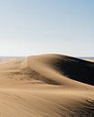 Zandheuvel in het woestijnachtig duingebied van Dunas de Maspalomas. van Myrthe Slootjes thumbnail