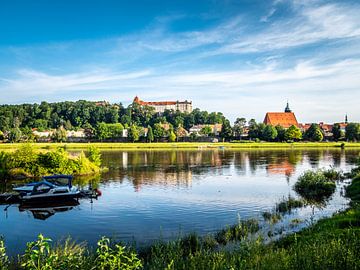 Sicht am Elbufer auf die Stadt Pirna von Animaflora PicsStock