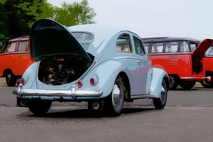 Barndoor Gathering 2023 25 Volkswagen Käfer von Marc Lourens