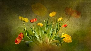 Bouquet de tulipes à la pivoine