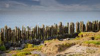 Wadden coast by By Foto Joukje thumbnail
