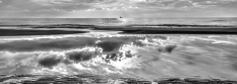 Panoramic Reflections - B&W van Alex Hiemstra