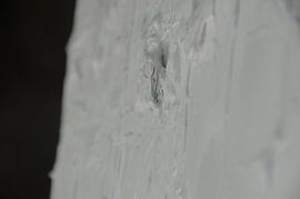 Sneeuw en verf van The Snowroom