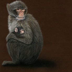 Barbary macaque with child, Macaca sylvanus by Helga Pohlen - ThingArt