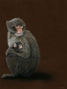 Macaque de Barbarie Singe avec enfant, Macaca sylvanus sur Helga Pohlen - ThingArt