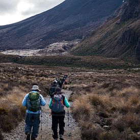 Tongariro Alpine Crossing, New Zealand von Frank den Hond