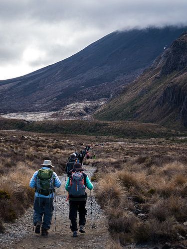 Tongariro Alpine Crossing, Nieuw-Zeeland