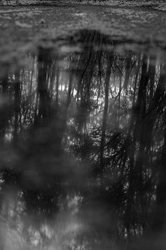 Spiegel im Wasser von Betty Verheij