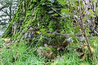 arbre vert leijpark tilburg