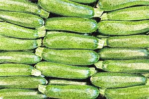 Zucchini ART 1.0