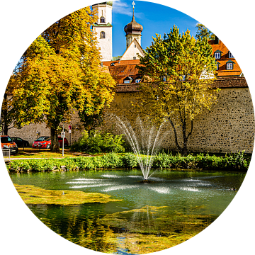 Vijver met fontein in Isny Allgäu met stadsmuur en kerktoren van Dieter Walther