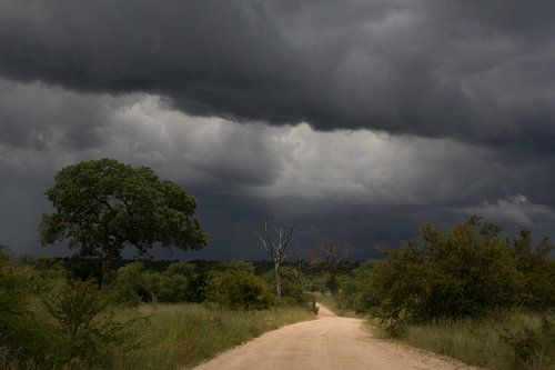 Thunderstorm on the way