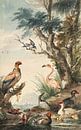 Landscape with exotic birds Aert Schouman (1710-1792) 1765 by Teylers Museum thumbnail