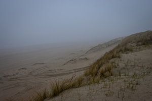 Disparition dans la brume