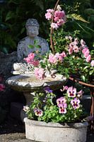 Buddha & flowers